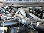 2024 Ford F-250 Crew Cab 4WD Pickup for sale #RED24317 - photo 28