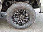 2025 Ford F-150 SuperCrew Cab 4WD Pickup for sale #SFC21759 - photo 6
