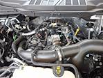 Used 2025 Ford F-150 STX Super Cab for sale #SKD46388 - photo 28