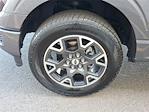 2025 Ford F-150 SuperCrew Cab 4WD Pickup for sale #SKD83920 - photo 10