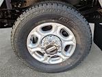 New 2026 Ford F-250 XLT Crew Cab for sale #TED43999 - photo 6