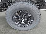 New 2026 Ford F-350 XL Regular Cab for sale #TED55811 - photo 6