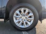 2023 Chevrolet Silverado 1500 Crew Cab RWD Pickup for sale #PG236979 - photo 12