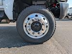 2025 Chevrolet Silverado 5500 Crew Cab DRW 4WD Cab Chassis for sale #SH720891 - photo 11
