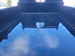2024 Ford F-550 Regular Cab DRW 4x2 Dump Truck for sale #FCA18178 - photo 9
