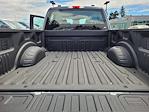 2025 Ford F-250 Crew Cab 4x4 Pickup for sale #SEC15401 - photo 12