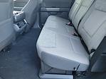 New 2025 Ford F-150 XLT SuperCrew Cab for sale #SFA84734 - photo 7