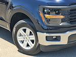 2025 Ford F-150 Regular Cab 4x2 Pickup for sale #SKE36823 - photo 6