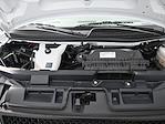 2024 Chevrolet Express 3500 RWD Passenger Van for sale #301848R - photo 19