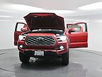 2023 Toyota Tacoma Double Cab 4WD Pickup for sale #301961P - photo 26