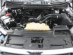 2023 Ford F-150 SuperCrew Cab RWD Pickup for sale #302123R - photo 33