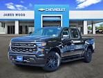 2025 Chevrolet Silverado 1500 Crew Cab RWD Pickup for sale #152060 - photo 1