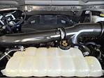 2023 Ford F-150 SuperCrew Cab 4WD Pickup for sale #152246A1 - photo 31