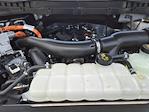 2024 Ford F-150 SuperCrew Cab 4WD Pickup for sale #152739A1 - photo 30