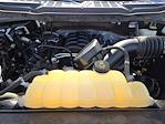 2021 Ford F-150 SuperCrew Cab 4WD Pickup for sale #160743A2 - photo 25