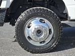 2024 Ford F-350 Crew Cab DRW 4WD Pickup for sale #161196A1 - photo 10