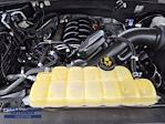 2019 Ford F-150 SuperCrew Cab RWD Pickup for sale #251148B1 - photo 30