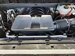 2023 Chevrolet Silverado 1500 Crew Cab RWD Pickup for sale #251605A1 - photo 30