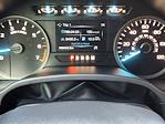 2020 Ford F-150 SuperCrew Cab 4WD Pickup for sale #251813C1 - photo 16