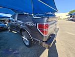 2014 Ford F-150 SuperCrew Cab 4WD Pickup for sale #252259B1 - photo 4
