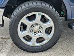 2013 Ford F-150 SuperCrew Cab 4WD Pickup for sale #252633B1 - photo 12