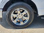 2023 Ford F-150 SuperCrew Cab RWD Pickup for sale #253071A1 - photo 12