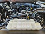 2023 Ford F-150 SuperCrew Cab RWD Pickup for sale #253071A1 - photo 30