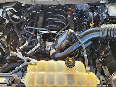 2021 Ford F-150 SuperCrew Cab 4WD Pickup for sale #253238A1 - photo 1