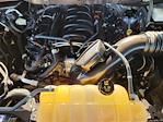 2021 Ford F-150 SuperCrew Cab RWD Pickup for sale #253709A1 - photo 31