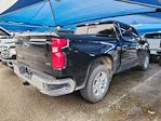 2025 Chevrolet Silverado 1500 Crew Cab 4WD Pickup for sale #260871B1 - photo 3
