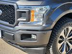 2019 Ford F-150 SuperCrew Cab RWD Pickup for sale #260885A1 - photo 6