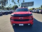2019 Chevrolet Silverado 1500 Double Cab RWD Pickup for sale #264273A - photo 3