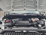 2024 Chevrolet Silverado 1500 Regular Cab RWD Pickup for sale #R67578 - photo 25