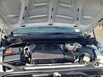 2024 Chevrolet Silverado 1500 Regular Cab RWD Pickup for sale #R67579 - photo 25