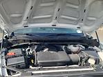 2024 Chevrolet Silverado 1500 Regular Cab RWD Pickup for sale #R67580 - photo 25