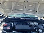 2024 Chevrolet Silverado 1500 Regular Cab RWD Pickup for sale #R67625 - photo 24