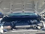 2024 Chevrolet Silverado 1500 Regular Cab RWD Pickup for sale #R67627 - photo 23