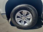 2024 Chevrolet Silverado 1500 Regular Cab RWD Pickup for sale #R67627 - photo 26