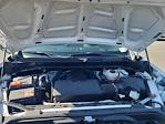 2024 Chevrolet Silverado 1500 Regular Cab RWD Pickup for sale #R67690 - photo 24