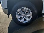 2024 Chevrolet Silverado 1500 Regular Cab RWD Pickup for sale #R67693 - photo 27
