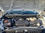 2024 Chevrolet Silverado 1500 Regular Cab RWD Pickup for sale #R67694 - photo 24