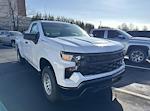 2024 Chevrolet Silverado 1500 Regular Cab 4WD Pickup for sale #24-0741 - photo 3