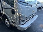 2024 Chevrolet LCF 4500HG Regular Cab RWD, Bay Bridge Sheet and Post Box Truck for sale #24-8623 - photo 10