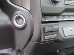 2024 Chevrolet Silverado 3500 Regular Cab SRW 4WD Pickup for sale #24-9176 - photo 19