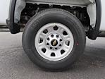 2024 Chevrolet Silverado 3500 Regular Cab SRW 4WD Pickup for sale #24-9176 - photo 8