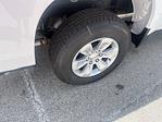 2025 Chevrolet Silverado 1500 Regular Cab RWD Pickup for sale #25-6380 - photo 8