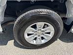 2024 Chevrolet Silverado 1500 Regular Cab RWD Pickup for sale #P22009 - photo 19