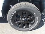 2025 Ram 2500 Crew Cab 4x4 Pickup for sale #20343 - photo 10