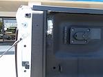 2025 Ram 3500 Crew Cab 4x4 Pickup for sale #20390 - photo 10