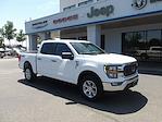 2023 Ford F-150 SuperCrew Cab 4WD Pickup for sale #48659 - photo 1